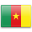 Cameroon country flag